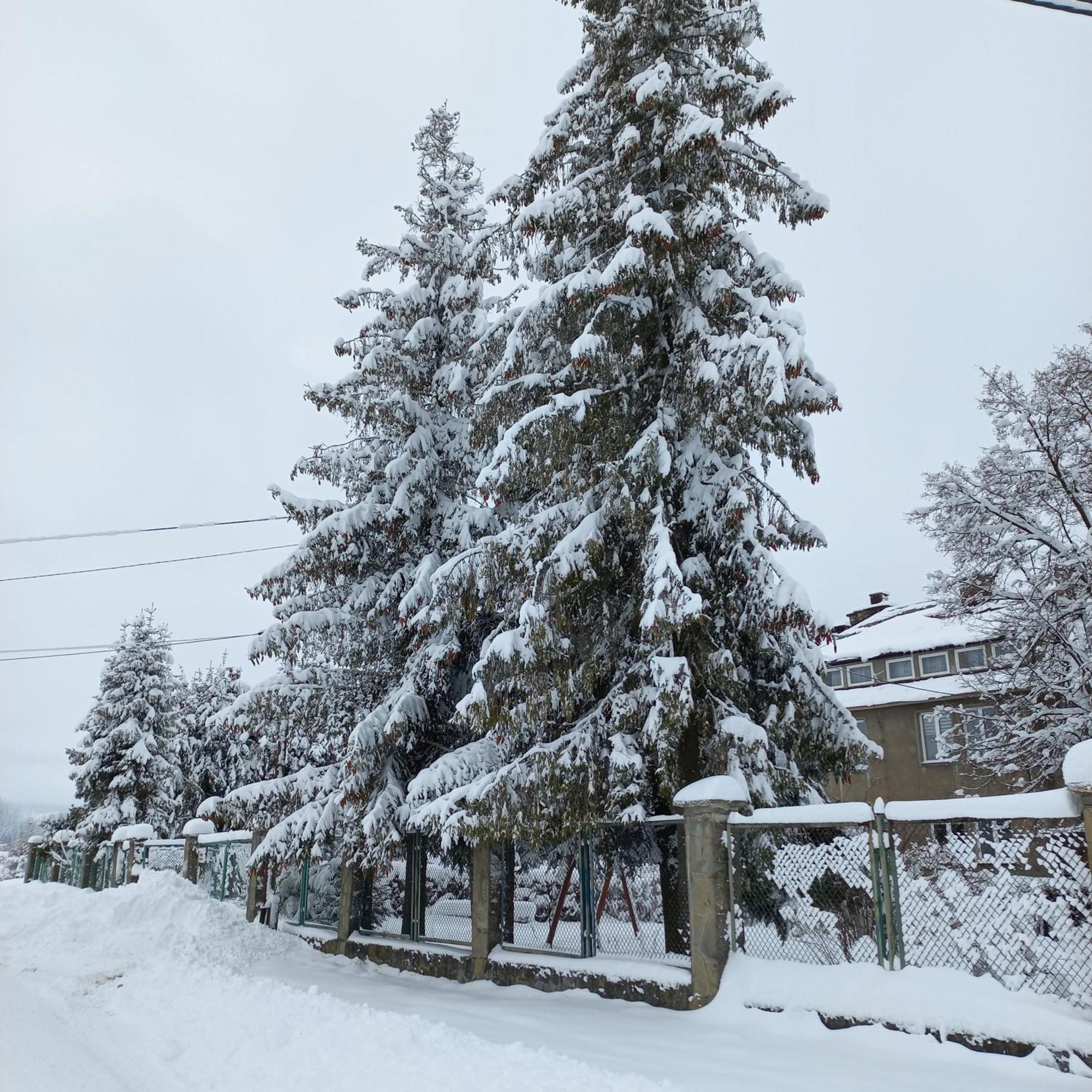 Apartamenty Na Szlaku Czarny Dunajec Dış mekan fotoğraf